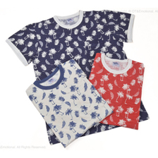 Pherrow's 19S-PHPT 19S-PHPT1画像