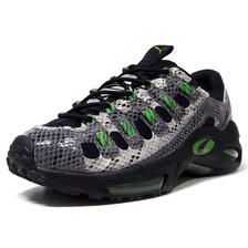 PUMA CELL ENDURA ANIMAL KINGDOM C.GRY/GRY/BLK/GRN/SLV 370926-02画像