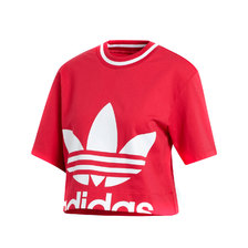adidas CROPPED TEE ENERGY PINK ED4754画像