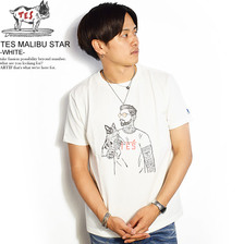 The Endless Summer TES MALIBU STAR -WHITE- FH-9574372画像