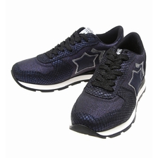 Atlantic STARS ANTARES NAVY FGB-10N画像