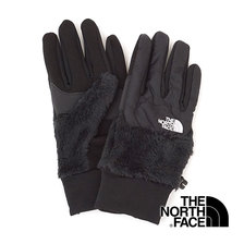 THE NORTH FACE Denari Etip Glove NN61919画像