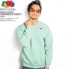 Fruit of the Loom FRUIT DYED CREWNECK SWEAT -KIWI- 0123-504FTA画像