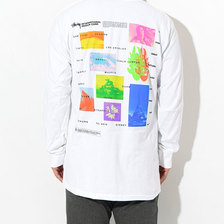 STUSSY Great Future L/S Tee 1994444画像