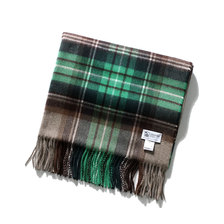 Johnstons of elgin GREEN & BROWN CHECK 2019FW JAPAN SPECIAL PATTERN AU4175画像