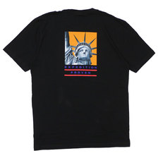 Supreme &times; THE NORTH FACE 19FW Statue of Liberty Tee BLACK画像