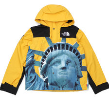Supreme &times; THE NORTH FACE 19FW Statue of Liberty Mountain Jacket YELLOW画像