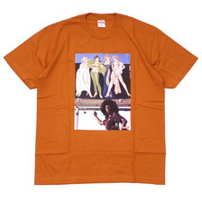 Supreme 19FW American Picture Tee BURNT ORANGE画像