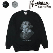 Pherrow's 19W-PS-B1画像
