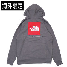 THE NORTH FACE RED BOX PO HOODIE GREY RED画像