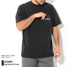STUSSY Big Stock S/S Crew 1140169画像