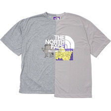 THE NORTH FACE PURPLE LABEL Crazy H/S Logo Tee ZH(MIX GRAYxGRAY) NT3009N画像