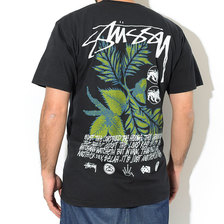 STUSSY Bloom Pigment Dyed S/S Tee 1904521画像