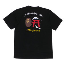 A BATHING APE 20SS EMBROIDERY STYLE JAPAN CULTURE TEE 1G30110081画像