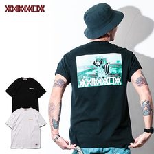 ANIMALIA GOTHAM AN20U-TE05画像