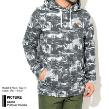 Picture Cairne Pullover Hoodie MSW262画像