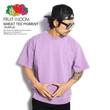 Fruit of the Loom SWEAT TEE PIGMENT -PURPLE- 0222-003FLP画像