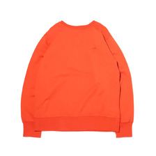 THE NORTH FACE PURPLE LABEL 10oz MOUNTAIN CREW NECK SWEAT ORANGE NT6903N画像