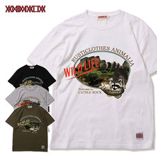 ANIMALIA WILD LIFE-Raccoon AN20SU2-TE06画像
