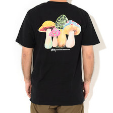 STUSSY 1904546画像