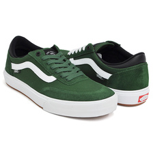 VANS GILBERT CROCKETT 2 PRO ALPINE / WHITE VN0A38COW5Q画像