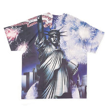 DREAM TEAM I Love DT Tee WHITE MULTI画像
