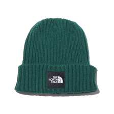 THE NORTH FACE CAPPUCHO LID EVER GREEN NN42035画像