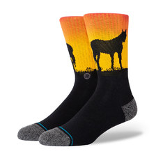 STANCE PASTURE BLACK A545C20PAS-1000画像