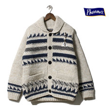 Pherrow's 20W-PNCS1画像