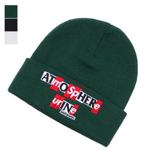 Supreme &times; ANTIHERO 20FW Beanie画像