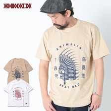 ANIMALIA CHIEF AN21S-TE08画像