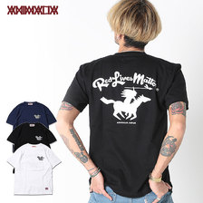 ANIMALIA R.L.M. AN21S-TE07画像