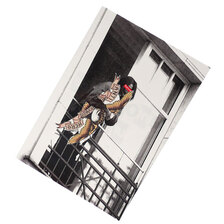 Supreme &times; ANTIHERO 20FW Balcony Sticker画像