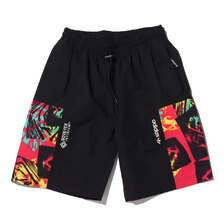 adidas ADVENTURE GORE-TEX SHORTS BLACK/MULTI COLOR GN2353画像