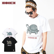 ANIMALIA TORTOISE AN21U-TE06画像