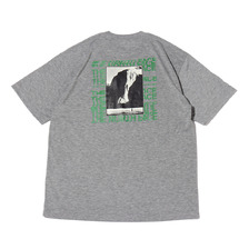 THE NORTH FACE S/S ELCAPITAN TEE MIX GRAY NT32150画像