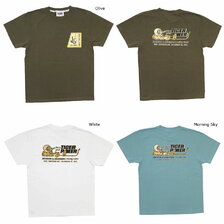 Pherrow's 21S-PT19画像