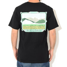 STUSSY Palm Springs S/S Tee 1904691画像