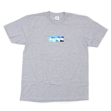 Supreme &times; Emilio Pucci 21SS Box Logo Tee GRAYxBLUE画像