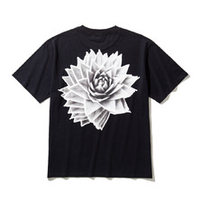 SOLID ROSE T-SHIRT BLACK SA-0116画像