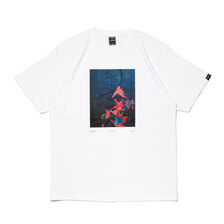 APPLEBUM Photograph Tee WHITE画像