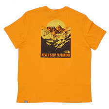 THE NORTH FACE BACK NATURAL WONDERS TEE FLAME ORANGE画像
