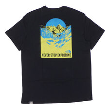 THE NORTH FACE BACK NATURAL WONDERS TEE BLACK画像