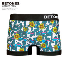 BETONES MOTHER FARM FARM001画像