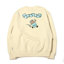 DC SHOES 21 FLEECE EMB DESIGN CREW BEIGE DPO214012-LBB画像