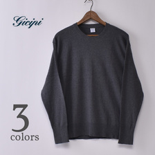 GICIPI 2101A LUPO画像