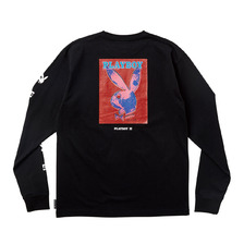 DC SHOES PB BACK PHOTO LS DLT216009画像