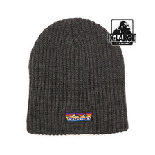 X-LARGE MOUNTAIN LOGO BEANIE CHARCOAL 101214051009画像