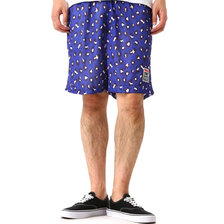 HALFMAN VISION LEOPARD SHORTS HVST19029画像