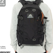 GREGORY Japan Limited All Day Daypack 1410181041画像